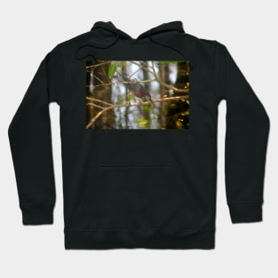 Green Heron Hoodie